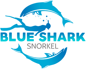 Blue Shark Snorkel Logo